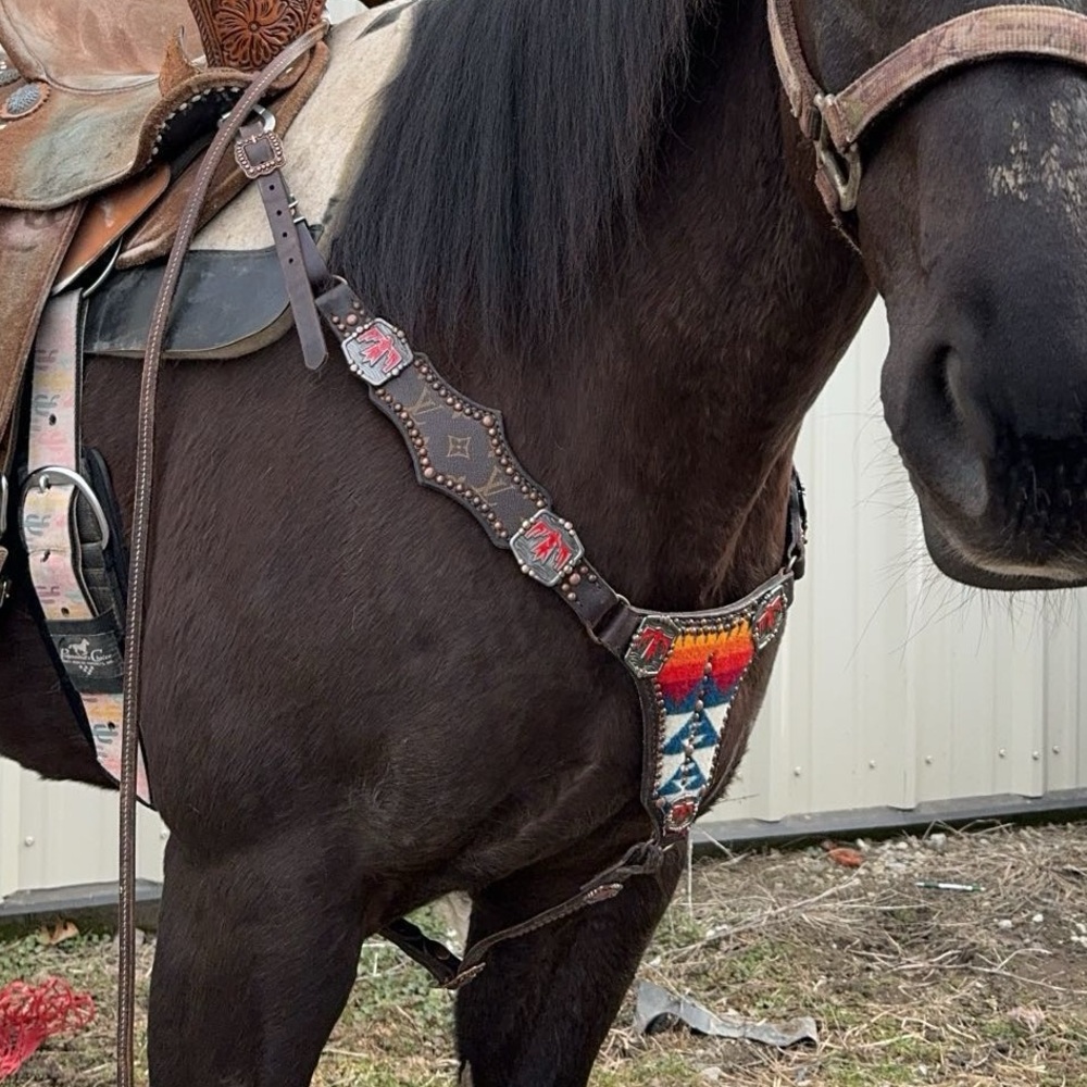 Custom made tack set - Picture 2 of 4